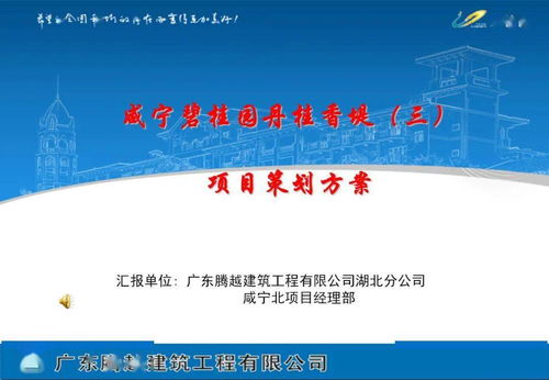 旅游開發(fā)項(xiàng)目策劃咨詢與執(zhí)行指南